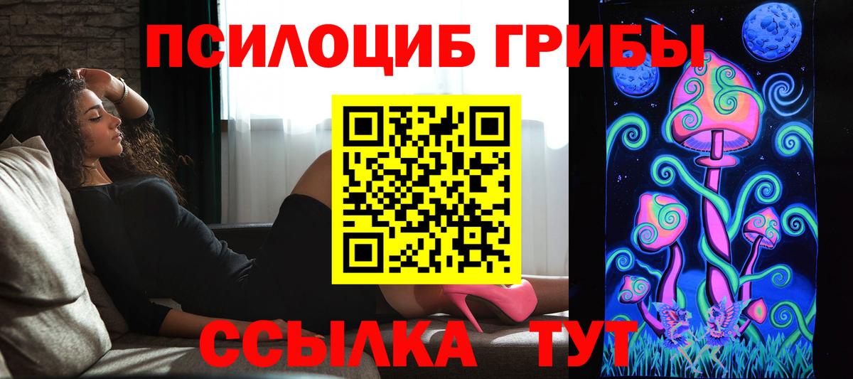 Псилоцибиновые грибы Magic Shrooms  купить наркотики цена  Псилоцибиновые грибы Psilocybe  Людиново  Вход с VPN 